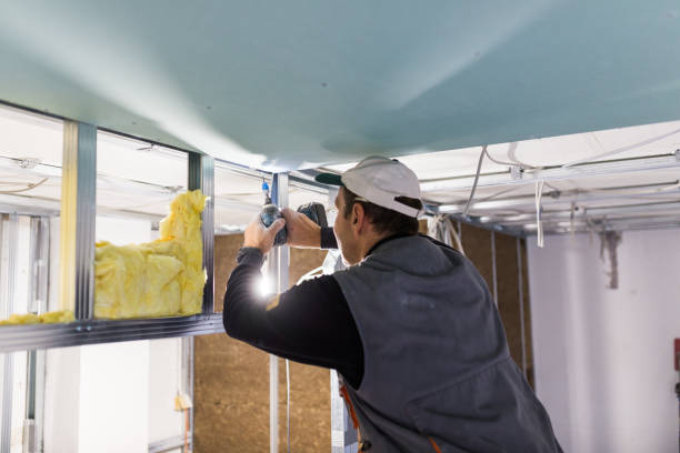 Best Fiberglass Insulation in Alamo, NV