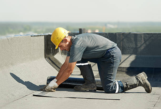 Best Spray Foam Insulation in Alamo, NV